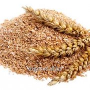Крупа пшеничная фотография