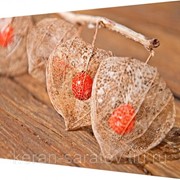 Картина на холсте 25х35 Н904 фото