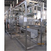 Линия убоя птицы фото