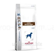 Лечебный сухой корм для собак Royal Canin Gastro Intestinal 2кг фотография