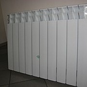 Алюминиевый радиатор FERROLI 500/100 фото