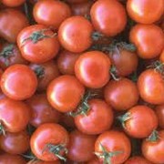 Оптовая продажа помидор чери