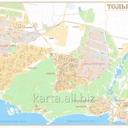 Настенная карта Тольятти 130х175 см фото
