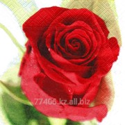 Салфетка для декупажа Одинокая роза -2 фотография