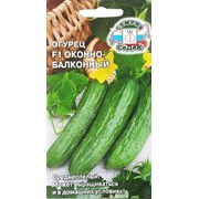 Огурец Оконно-балконный F1 0,2г (СеДеК) фото