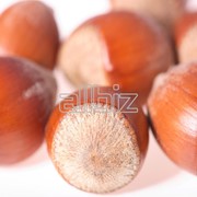 Фундук по низким ценам фото