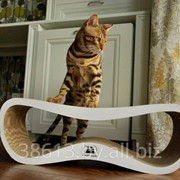 Лежанки для кошек фото