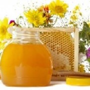 Мёд с лечебными травами фотография