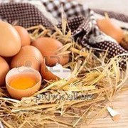 Яйцо фермерское домашнее