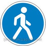 Дорожные знаки Предписывающие знаки Дорожка для пешеходов 4.13 фото