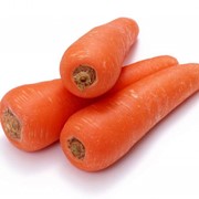 Морковь свежая мелкий фото