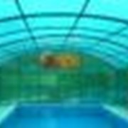 Покрытия из сотового поликарбоната для бассейнов фотография