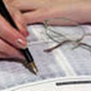 Бизнес-планирование для привленчения иностранных инвестиций фото