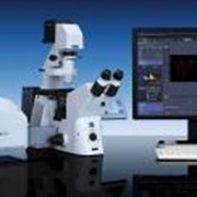 Конфокальные лазерные сканирующие микроскопы LSM 700 фото