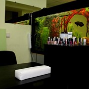 Маникюр, Педикюр, Шеллак и др. на Виноградаре фото