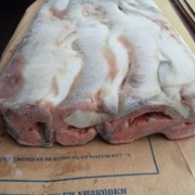 Горбуша с/м, б/г. фото