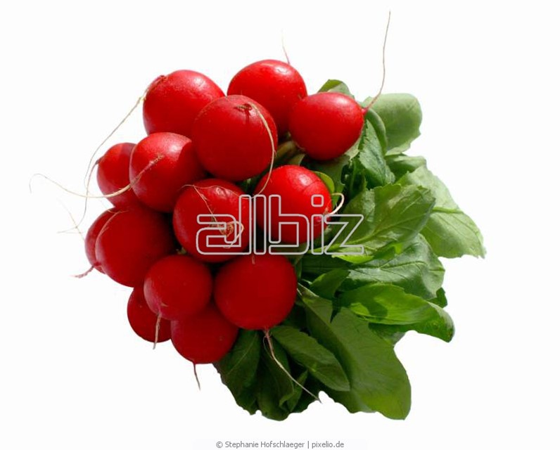 Овощи тепличные в Одессе (Овощи тепличные) - ЭКО МИР, ЧП на Bizorg.su