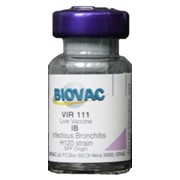 Вакцина живая Vir 111 фотография
