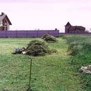 Покос травы, услуги мотокосы в Тюмени фото