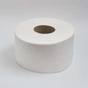 Туалетная бумага для диспенсеров 160 метров, 2 слоя, 12 шт/уп фото
