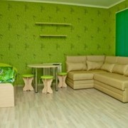 Комната в зеленом стиле фото
