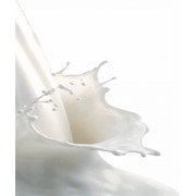 Молоко натуральное фото