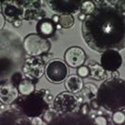 Микросфера силикатная толстостенная, фракция 50 мкм фотография