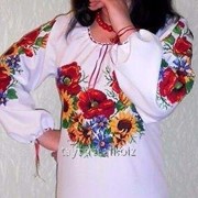 Вишиванка жіноча (блуза) фото