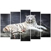 Пятипанельная модульная картина 80 х 140 см Отдыхающий белый тигр фото