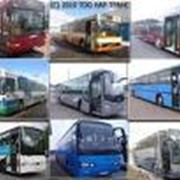 Автобусы городские фотография