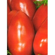 Семена томата высокорослого Московский деликатес (0,1г) фото