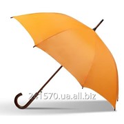 Зонты с Вашим логотипом. фото