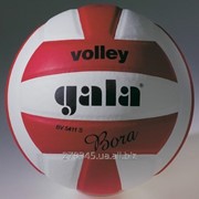 Мяч волейбольный Gala Bora BV 5411SCE