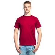 Мужская спортивная футболка StanPrint 30 Красный XXL/54 фото