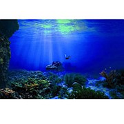 Подводный мир Аквариум фон украшения для аквариума картина клей плакат домашний офисный декор фото