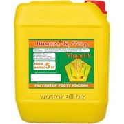 Вымпел ®-К – универсальный препарат для обработки семян и посадочного материала. фото