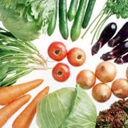Овощи от производителя: лук, капуста, картофель, свекла, помидоры, арбуз фотография