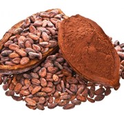 какао бобы фотография