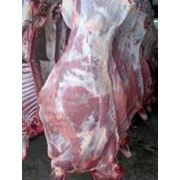 Говядина, мясо, говяжьи полутуши, мясо фотография