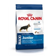 Сухой корм Royal Canin Maxi Junior фото
