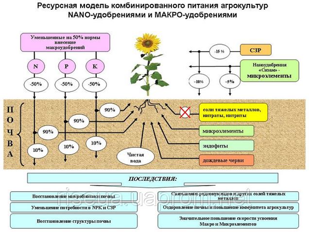 классификация минеральных удобрений таблица. микроудобрения схема. удобрение натрий фосфор калий магний. промышленный удобрений какие. комплексные удобрения классификация.