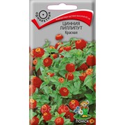 Цинния лилипут Красная 0,4г (Поиск) фото