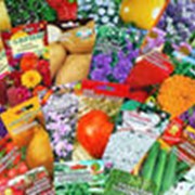 Овощные и цветочные семена фото