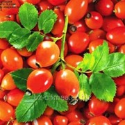 Шиповник плоды сушеные цельные (Крым) 130г. фото