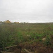 Сельхозземли