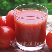 Технические Условия Напитки томатные