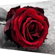 Картина на холсте 25х35 Н902 фото