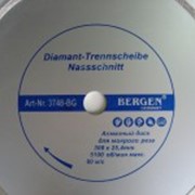 Диск алмазный Bergen мокрый рез 300х25,4мм фото