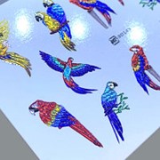 Anna Tkacheva, 3D-слайдер Crystal HT №145 «Птицы. Попугай» фото