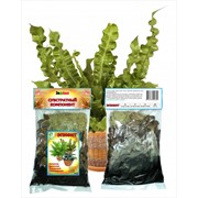 Эпифит Набор субстратных компонентов фото